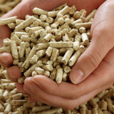pellets-biomasa